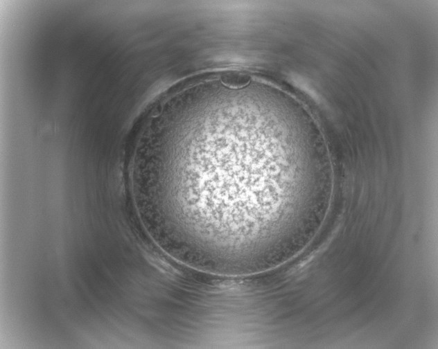 X0000071851259200607072252