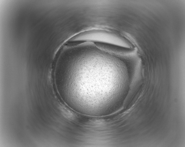 X0000071851260200607072252