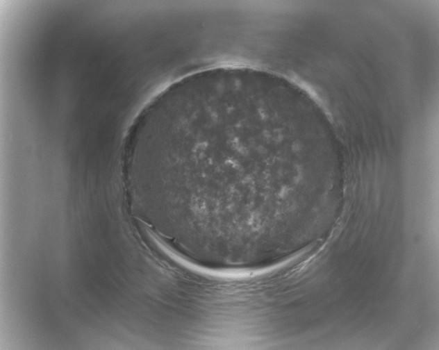 X0000071851263200607072252