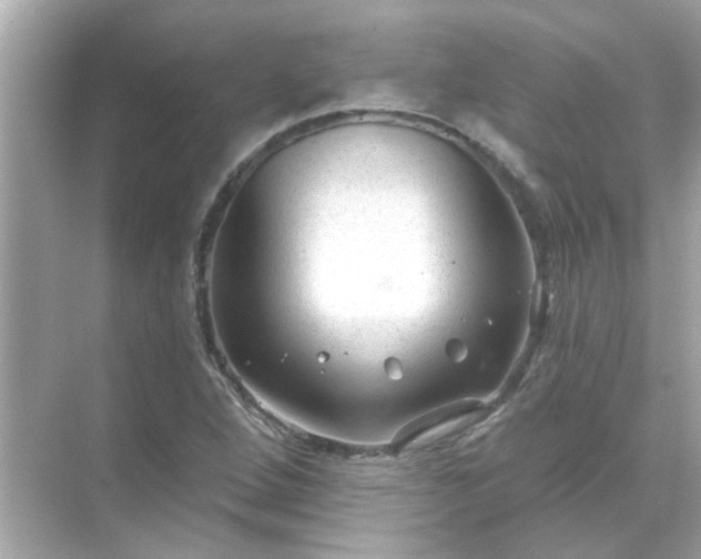 X0000071851264200607072252