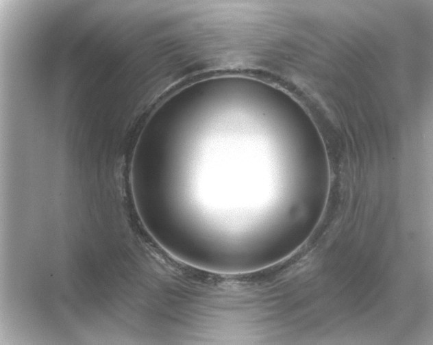 X0000071851265200607072252