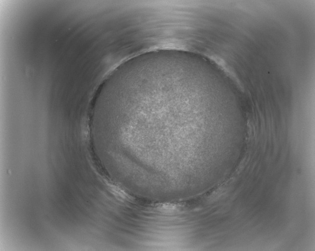 X0000071851266200607072252