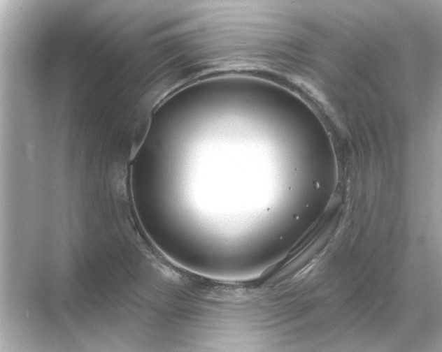 X0000071851273200607072252