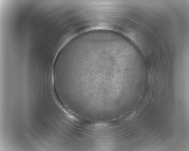 X0000071851274200607072252