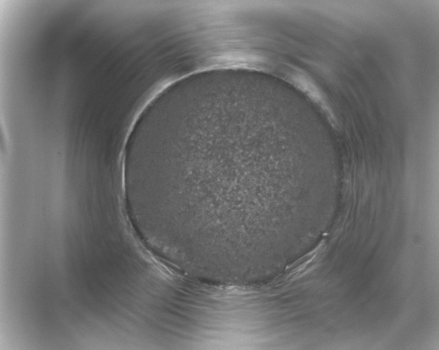 X0000071851275200607072252