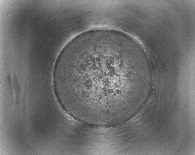 X0000071851279200607072252