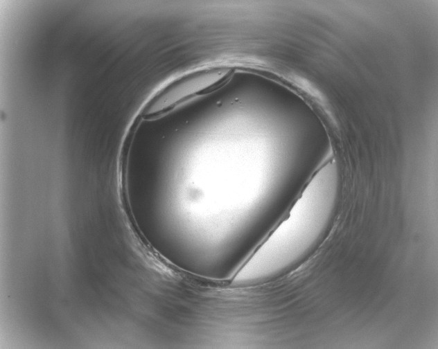 X0000071851280200607072252