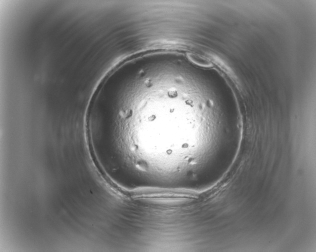 X0000071851283200607072252