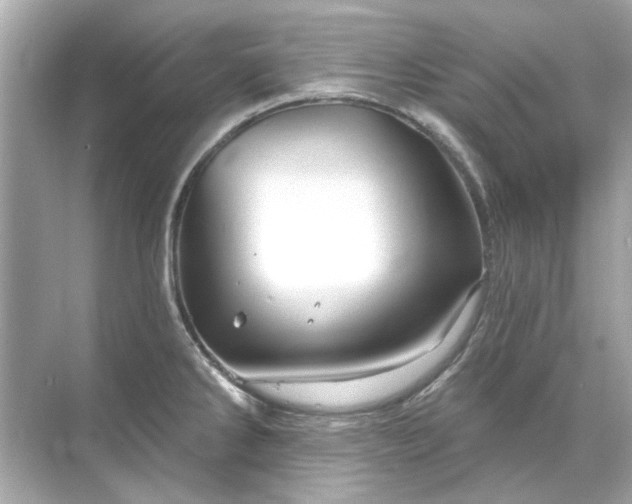 X0000071851286200607072252