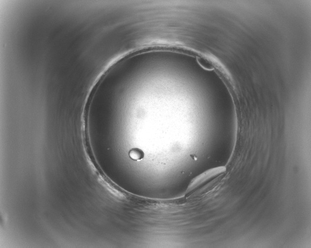 X0000071851287200607072252