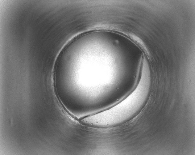 X0000071851288200607072252