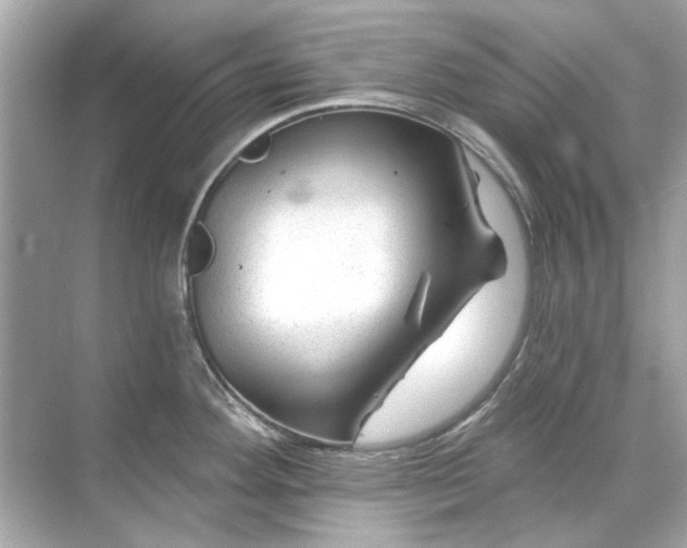 X0000071851292200607072252