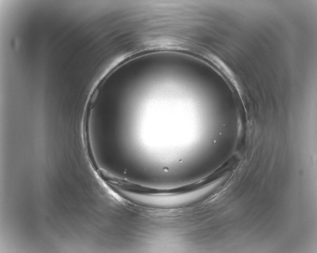 X0000071851293200607072252