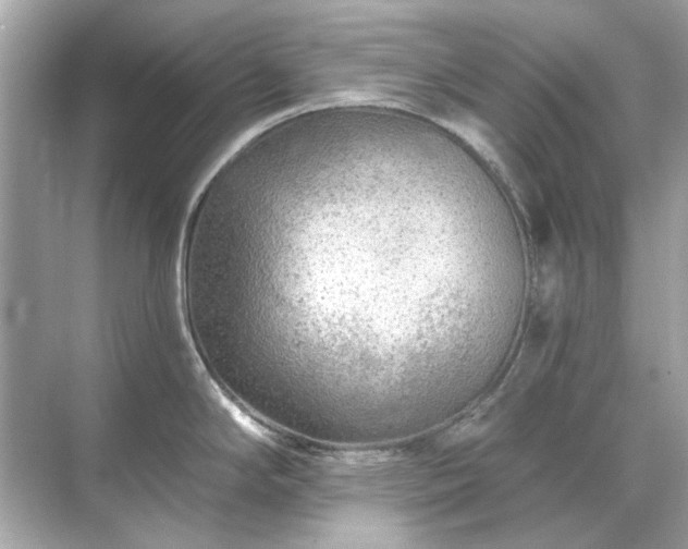 X0000071851294200607072252