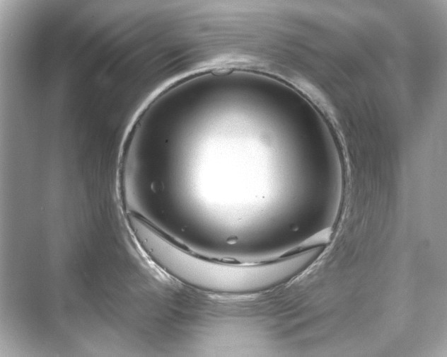 X0000071851296200607072252