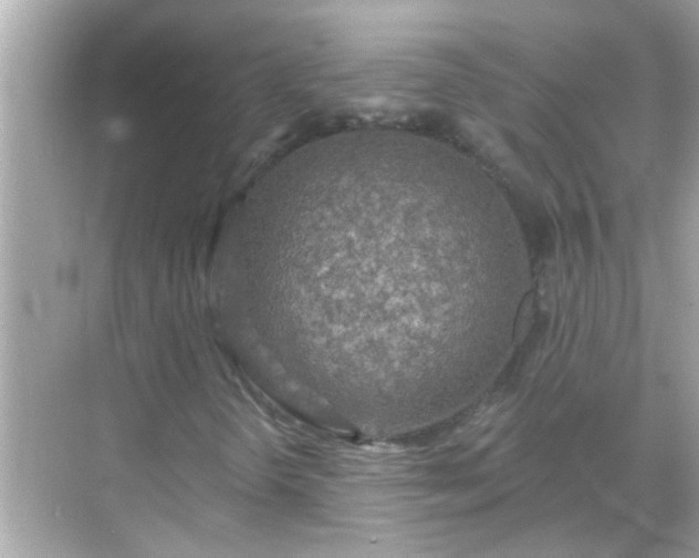 X0000071851298200607072251