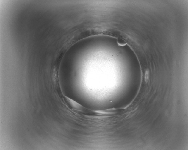 X0000071851299200607072251