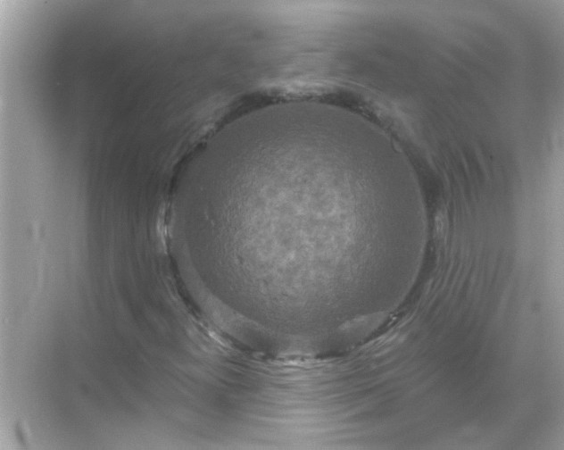 X0000071851300200607072251