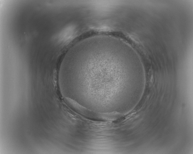 X0000071851301200607072251