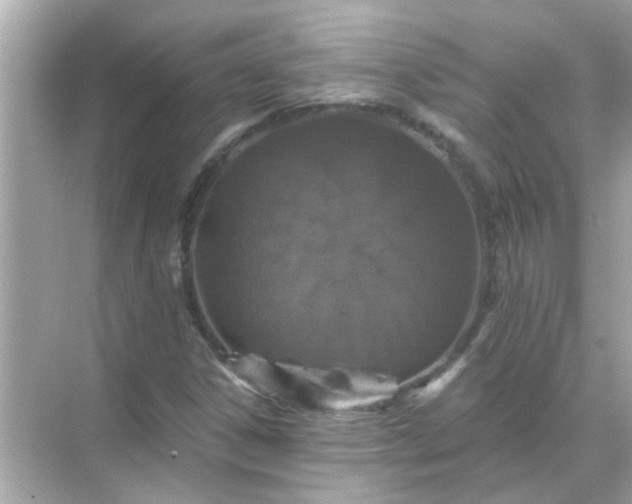 X0000071851306200607072251