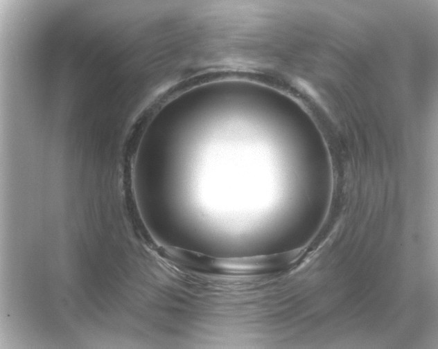 X0000071851307200607072251