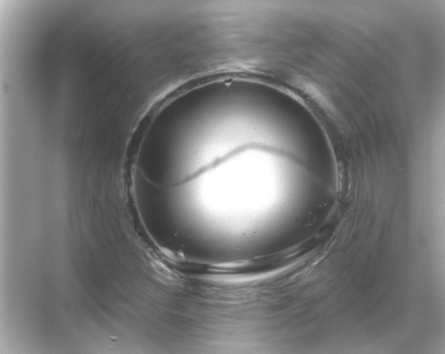 X0000071851308200607072251