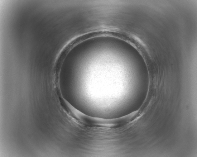 X0000071851310200607072251