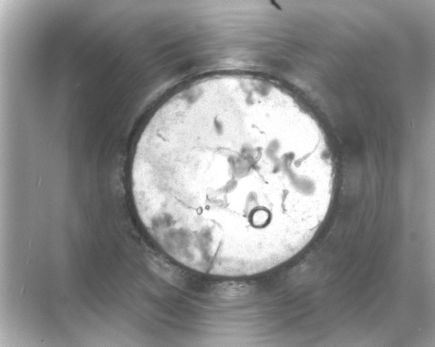 X0000071851314200607072251