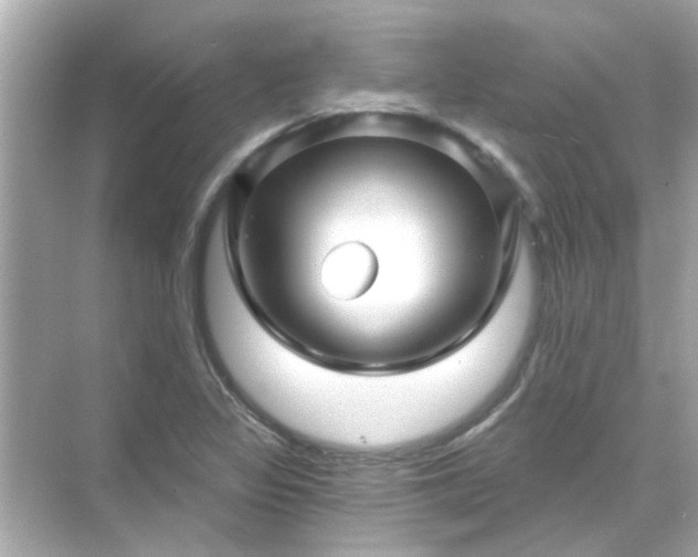 X0000071851317200607072251