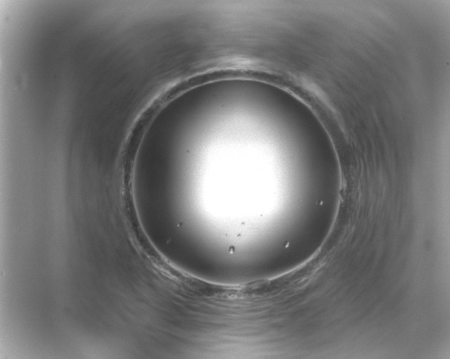 X0000071851318200607072251