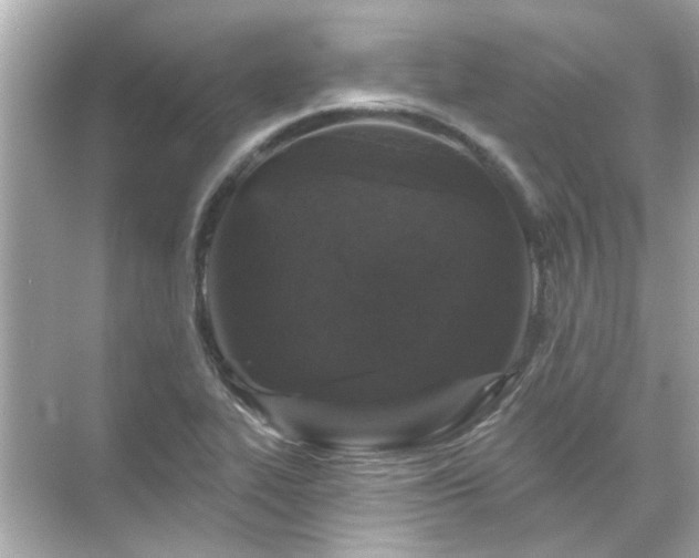 X0000071851319200607072251