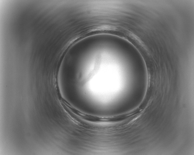 X0000071851321200607072251