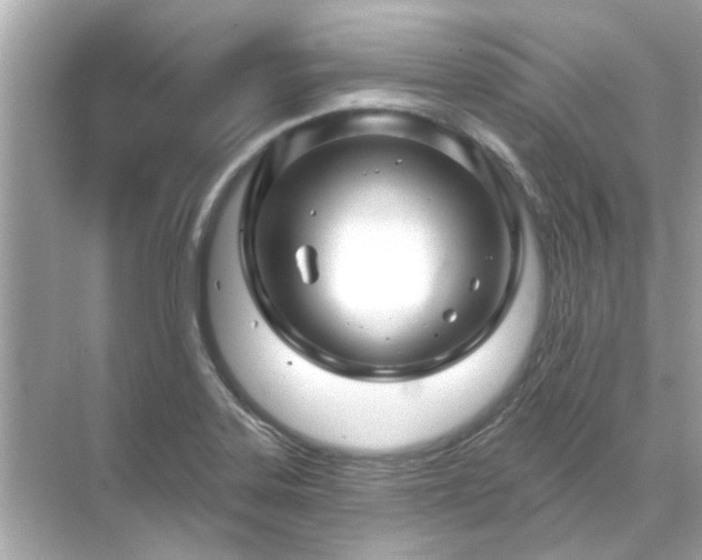 X0000071851323200607072251