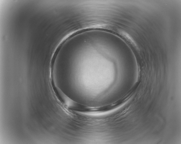 X0000071851324200607072251