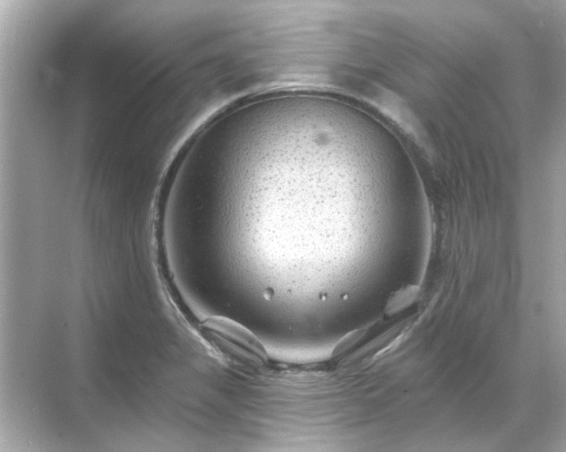 X0000071851325200607072251