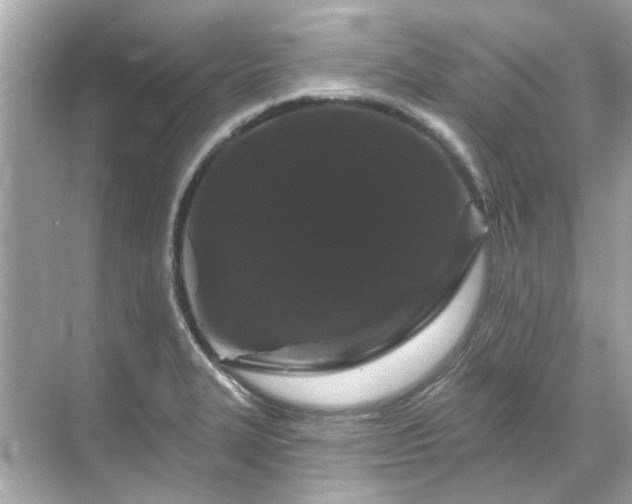 X0000071851327200607072251