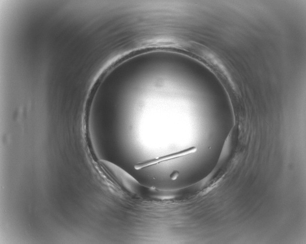 X0000071851328200607072251