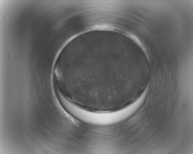 X0000071851331200607072251