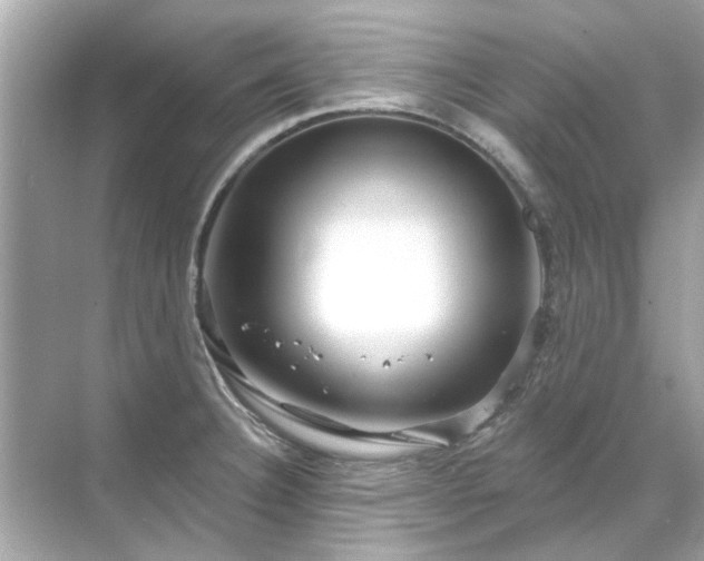 X0000071851332200607072251