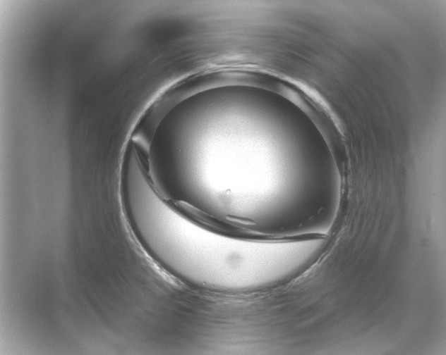 X0000071851333200607072251