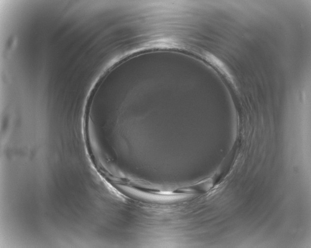 X0000071851334200607072251