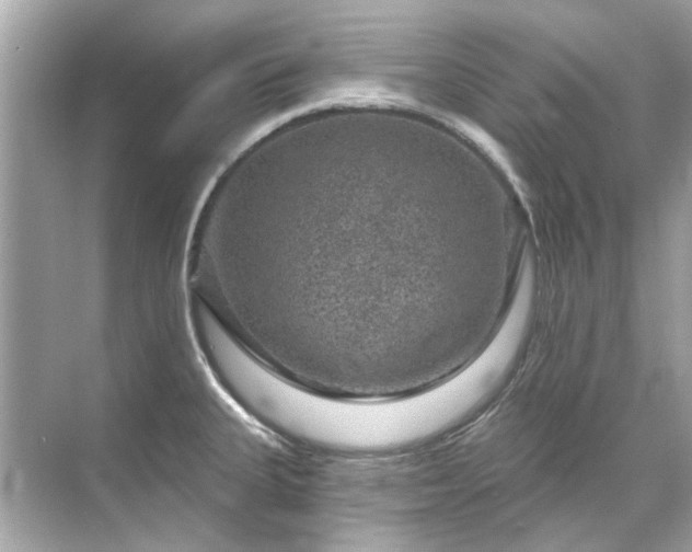 X0000071851335200607072251