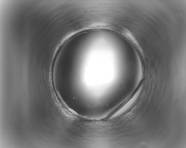 X0000071851336200607072251