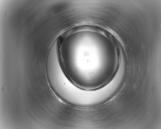 X0000071851337200607072251