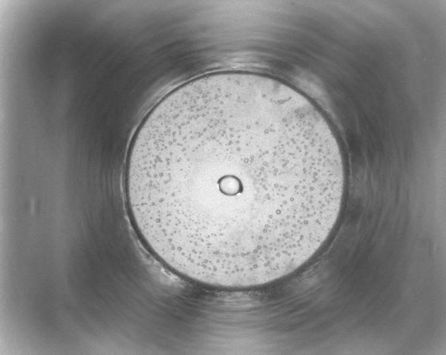 X0000071851338200607072251