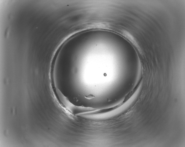 X0000071851339200607072251