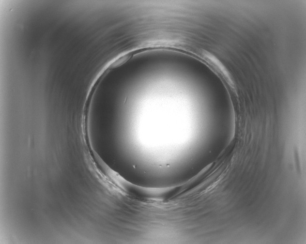 X0000071851340200607072251