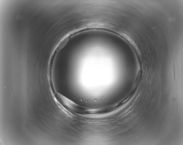 X0000071851342200607072251