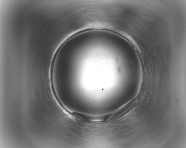 X0000071851343200607072251