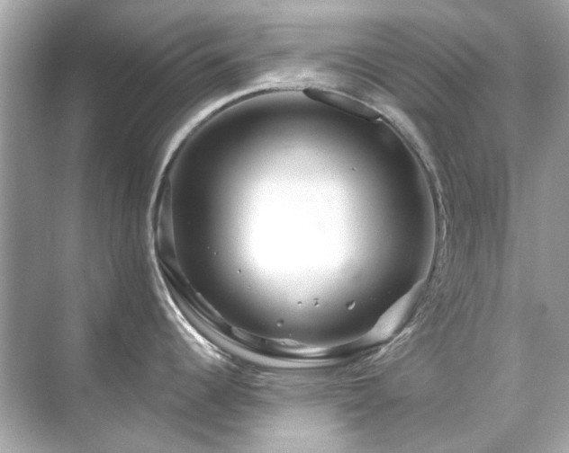 X0000071851344200607072252